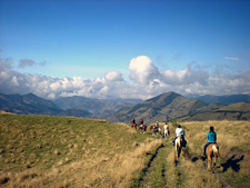 Ecuador-Highlands Riding Tours-Cloud Forest to Highland Ride